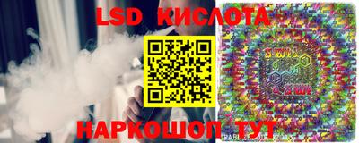 стаф Новокубанск